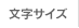 文字サイズ
